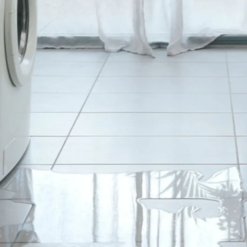 Appliance Leak Cleanup in Mulberry, FL