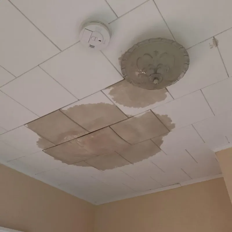 Ceiling Water Damage Repair in Mulberry, FL